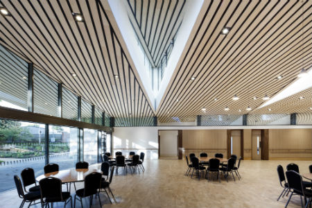 New ceiling system adds wow factor 