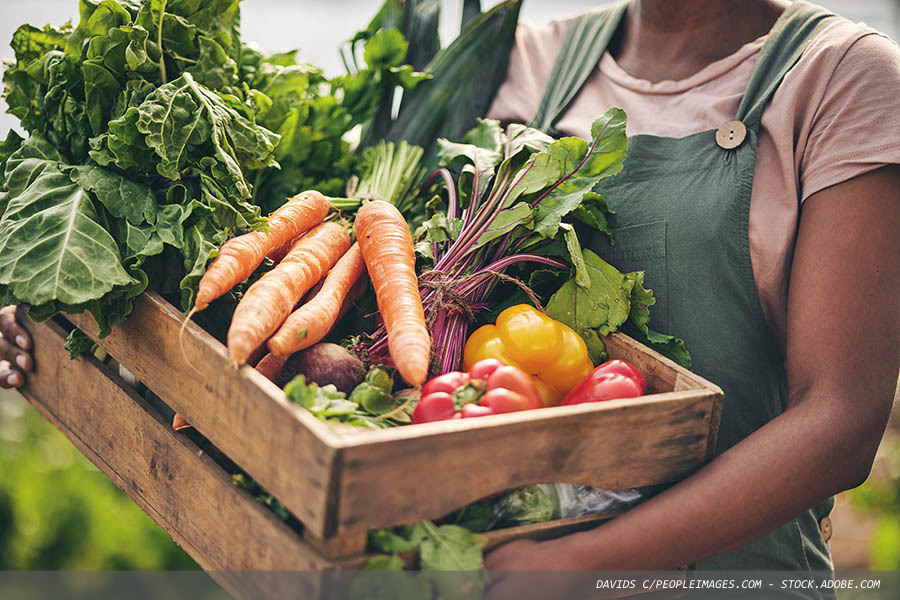 Volatile ingredient prices provide food for thought